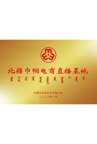北疆巾幗電商直播基地